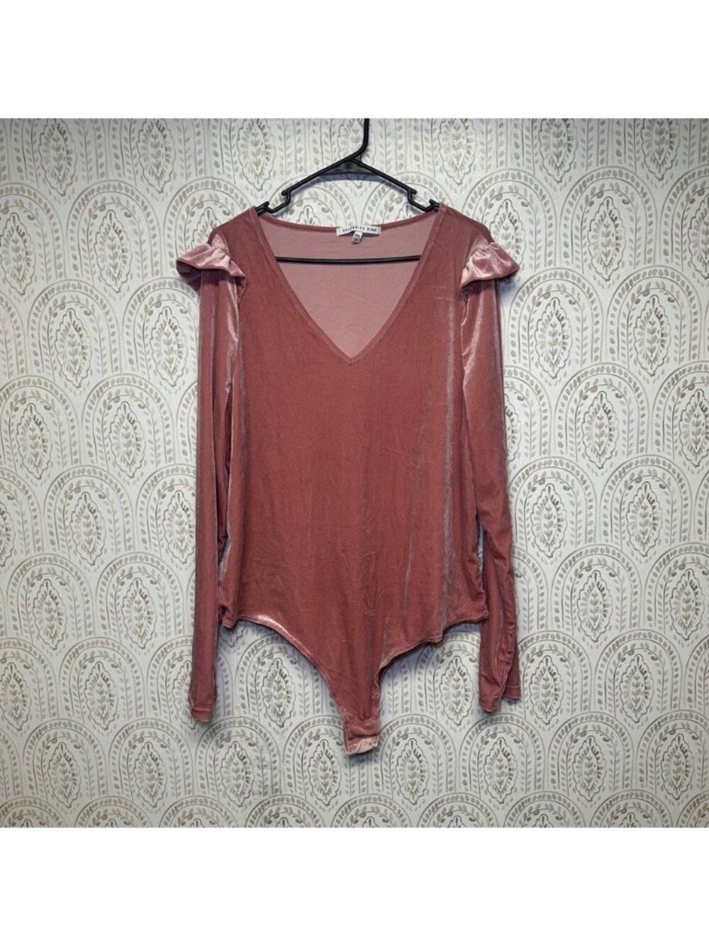 CELEBRITY PINK Velvet Ruffle Sleeve V Neck Bodysuit Rose Pink XXXL